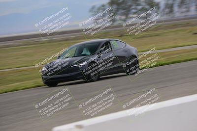 media/Mar-30-2025-Speed Ventures (Sun) [[39e6b1441d]]/Purple/Front Straight/